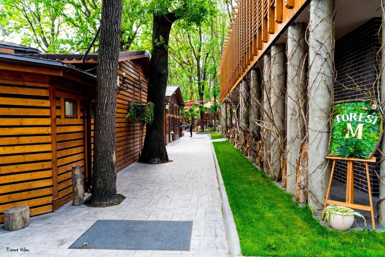 Forest M,Constanta Valu lui Traian Luaran gambar